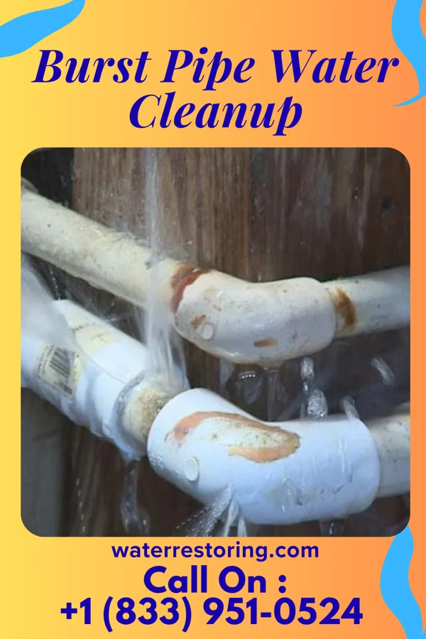 Burst Pipe Water Cleanup in Angier, NC