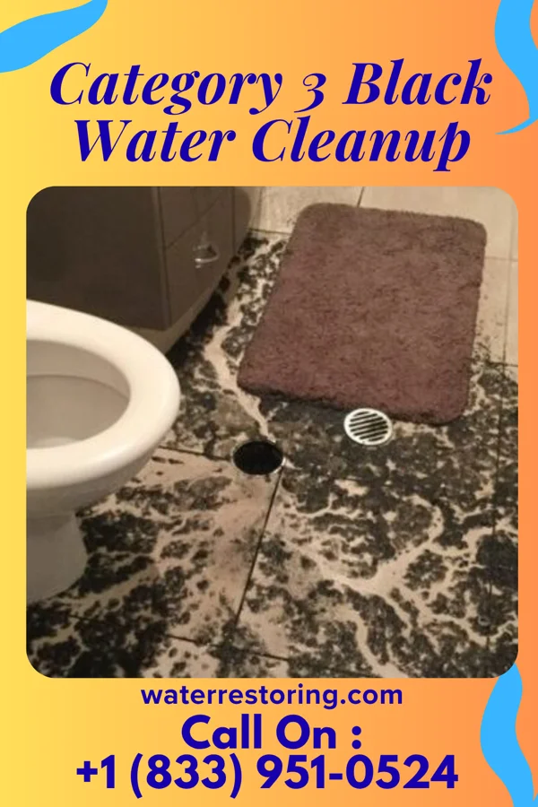 Category 3 Black Water Cleanup in Angier, NC